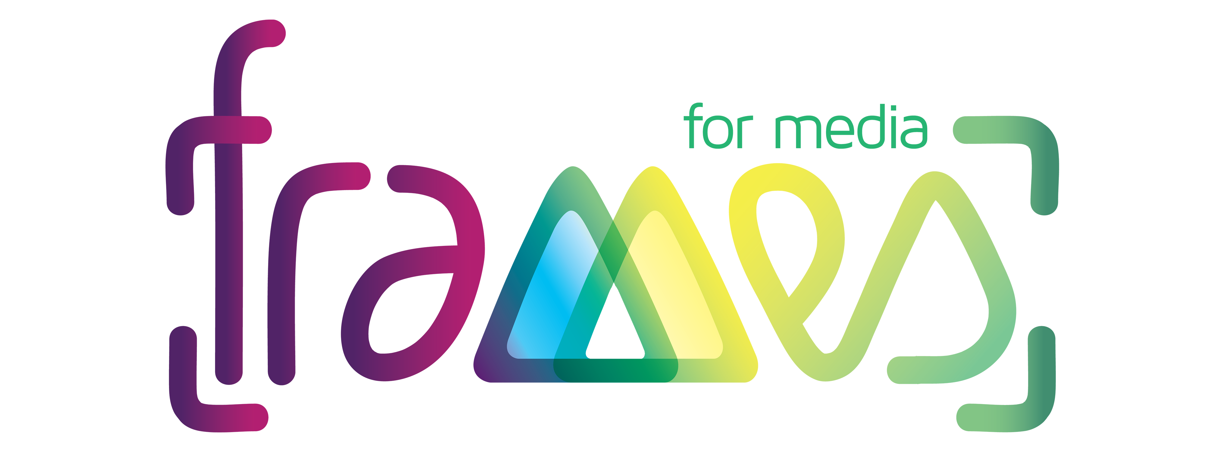 Frame For Media